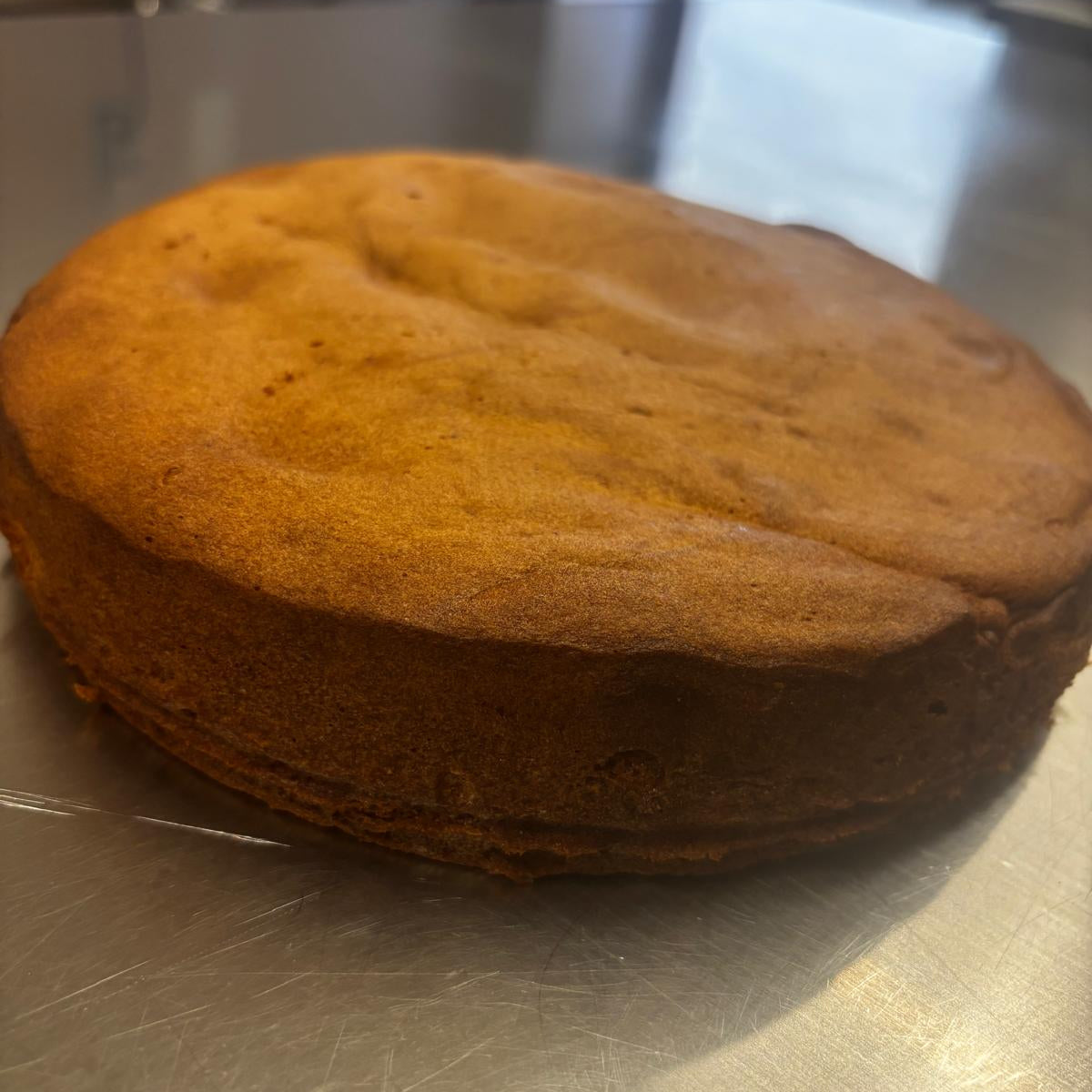 Base per Torta Senza Glutine e Senza Lattosio già cotta | 500g | Diametro 22cm