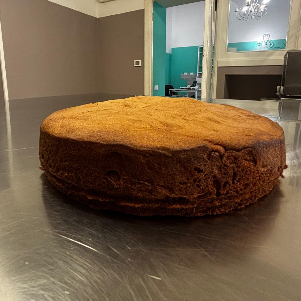 Base per Torta Senza Glutine e Senza Lattosio già cotta | 500g | Diametro 22cm